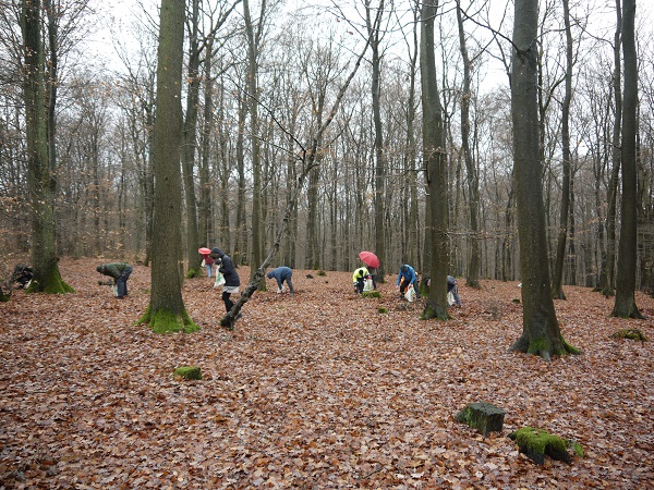 Bild Geschenk für den Wald 1