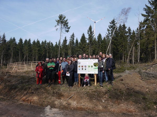 Bild der Wald als Klimaschützer